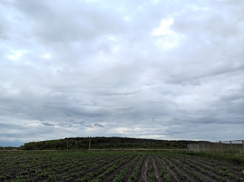 Свято-Димітріївський храм