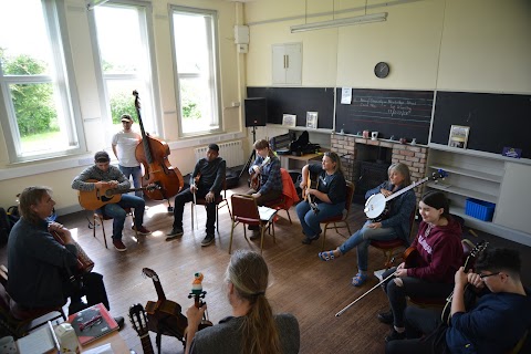 Traditional Irish Music School