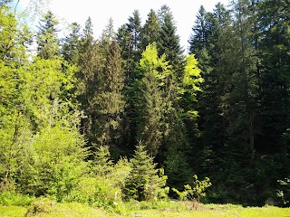 Церква св. Іоанна Хрестителя