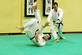 Shudokan Aikido Akademia Czarnych Pasów