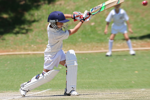 Queensland Institute of Sport