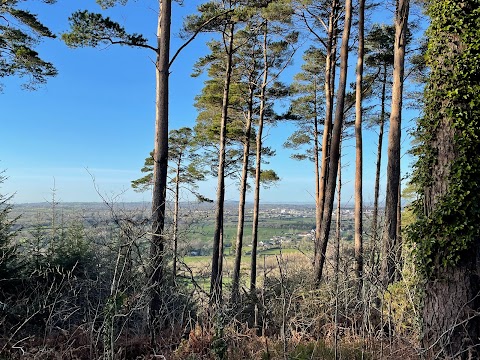 Bansha Wood Carpark