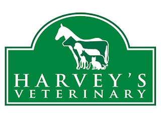 Harvey's Veterinary