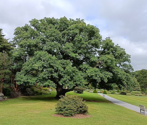 Muckross House