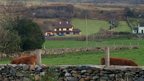 Ballykine House