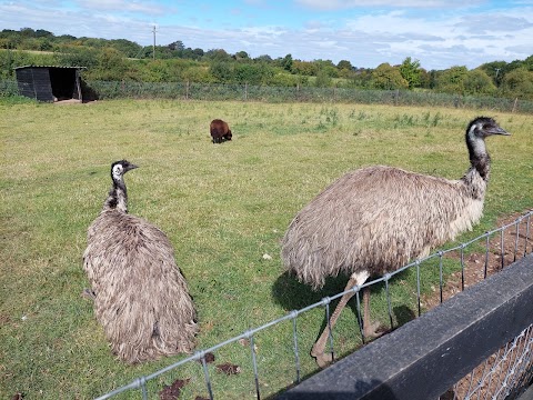 Tearaways Pet Farm & Activity Centre