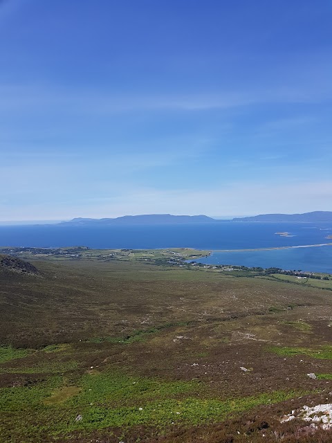 Carrowmore Stables