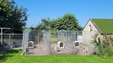 Comfy Kennels & Cattery