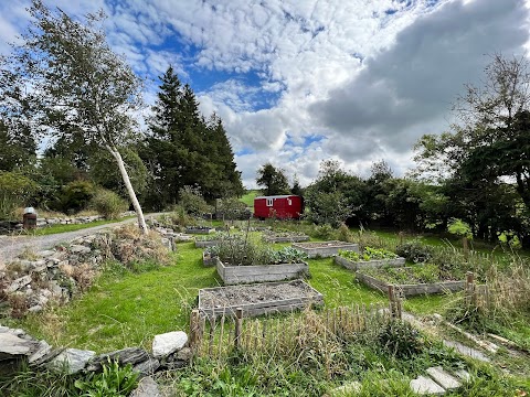 Ballyroe Accommodation