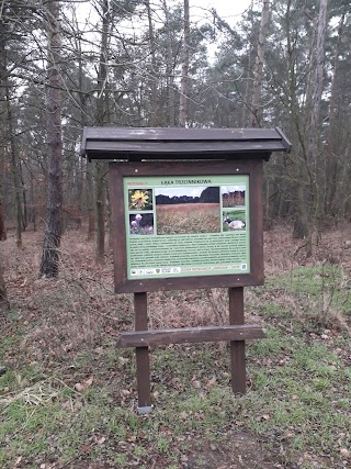 Ścieżka Przyrodniczo-edukacyjna "Jarnołtów-ratyń"