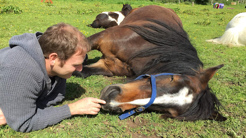 JS Equine Assisted Therapies