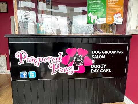 Pampered Paws Midleton