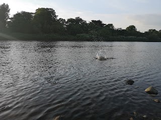 Walking Path Near River Laune