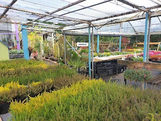 Clonroad Garden Centre