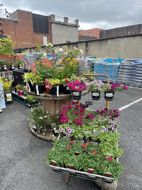 Enable Ireland Garden Centre and Gift Store, Limerick