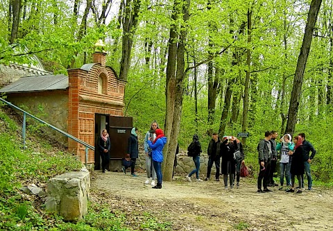 Печери Сафронієвського монастиря