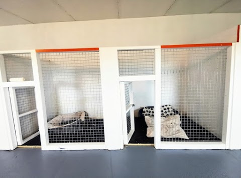 Cavan Dog Boarding Kennels