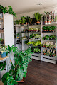 Zdjęcie Planet Flower - 20 Stycznia 56, Pabianice, Polska