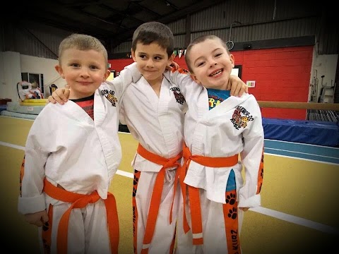 East Cork Taekwon-Do Carrigtwohill