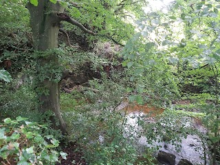 Riverside Walk