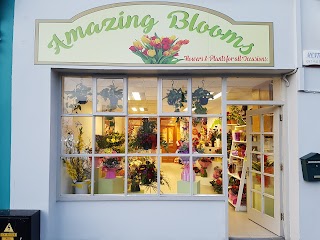 Amazing Blooms Florists