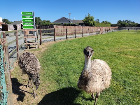 Kildare Farm Foods, Open Farm & Shop