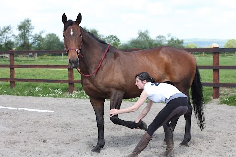 Ruth Boland Animal Physiotherapy