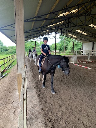 Lough Gara Stables