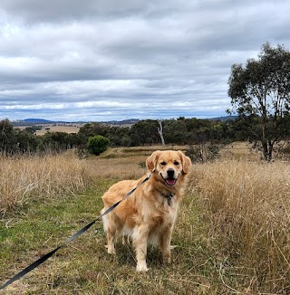 Camp Bow Wow Canberra