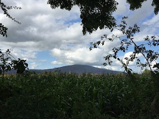 Slievenamon Holistic Therapy