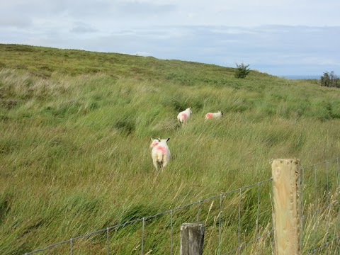 Luke's Bridge (start of Benbulbin walk)