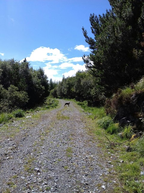 Connemara Mountain Hostel (GOEC Ltd)