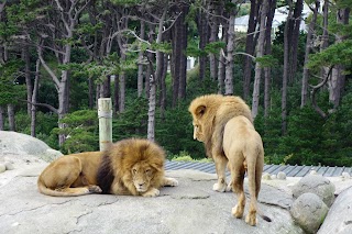 Wellington Zoo