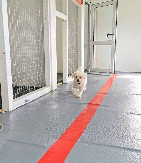 Cavan Dog Boarding Kennels