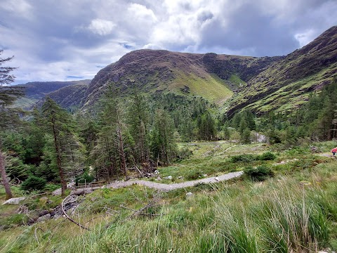 Gougane Barra National Forest Park