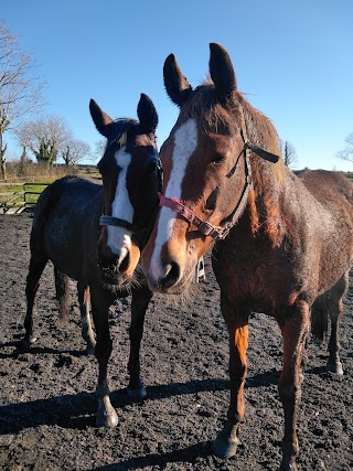 Streamside Stables