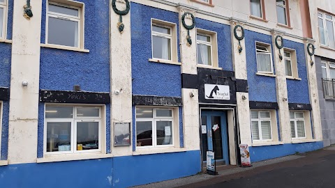 Youghal Veterinary Clinic