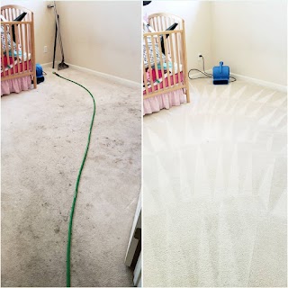 Auckland Steam 'n' Dry Carpet Cleaning