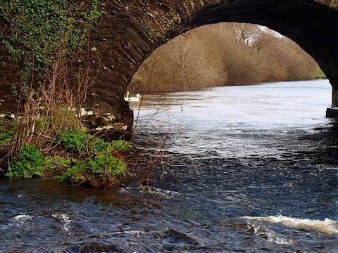 Bridge river