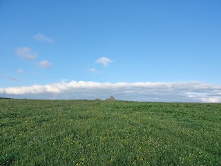 Horse and jockey Derrynaflan Greenway