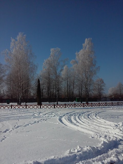 Дерево переробний цех