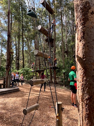 Treetops Adventure Newcastle