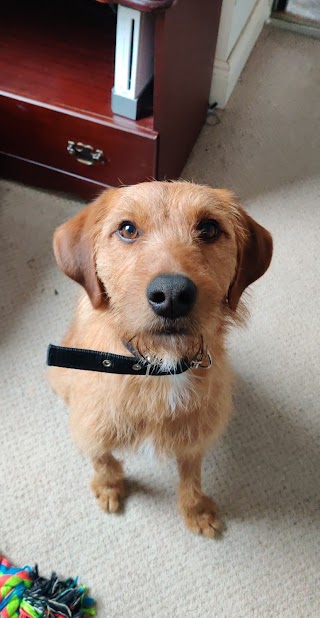 Aoibhinn's Grooming Parlour