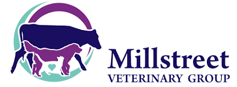 Millstreet Veterinary Group