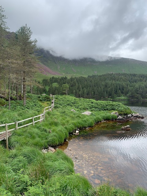 Glanteenassig Forest Park