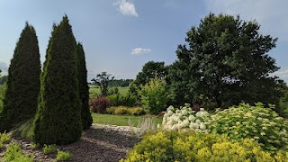 Śląski Ogród Botaniczny w Mikołowie - Ogród Żółty