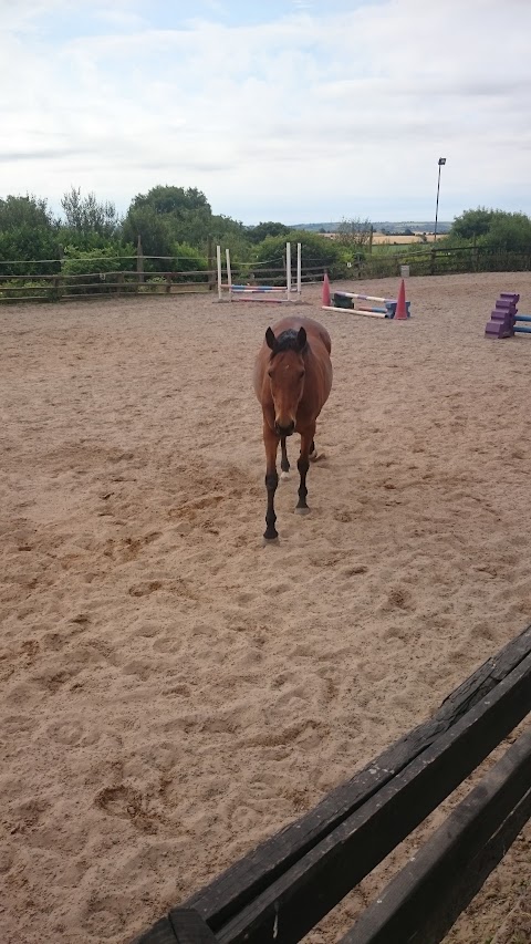 East Cork Equestrian Centre