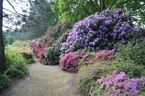 PAN Ogród Botaniczny – CZRB w Powsinie