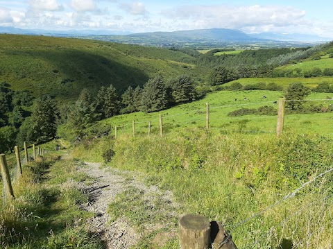 Glanageenty Forest Recreation Area