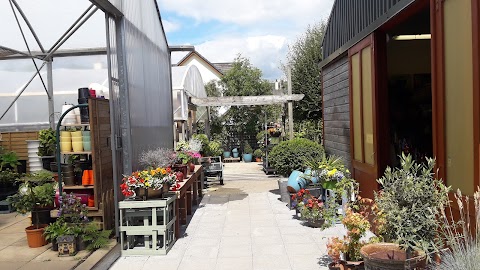 Willowfield Garden Centre